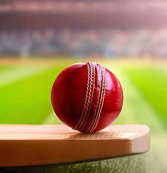 Cricket Background